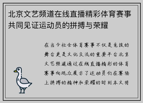 北京文艺频道在线直播精彩体育赛事共同见证运动员的拼搏与荣耀