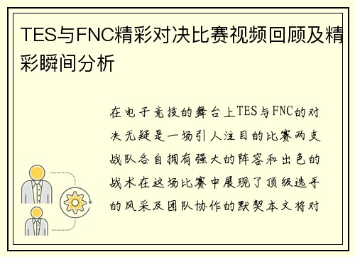 TES与FNC精彩对决比赛视频回顾及精彩瞬间分析